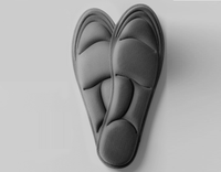 Palmilha Anatômica 5D - ZenLife