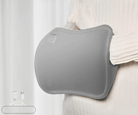 ThermalCozy: Aquece e alivia as dores